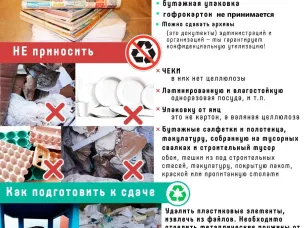 Акция «Zдай бумагу – помоги СВОим»